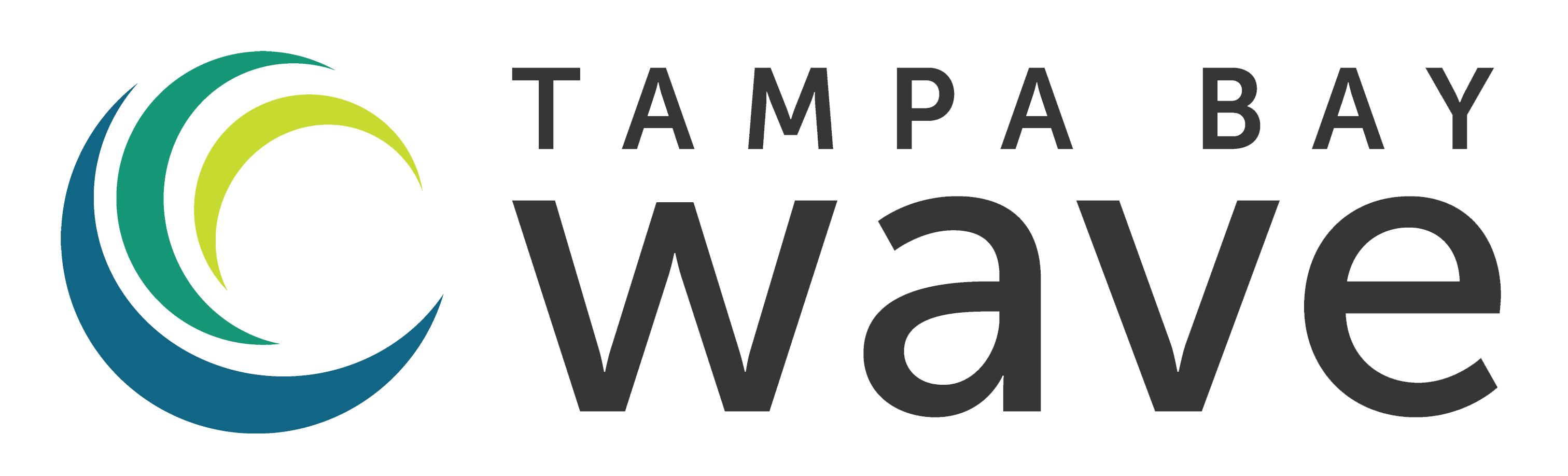 Tampa Bay Wave logo